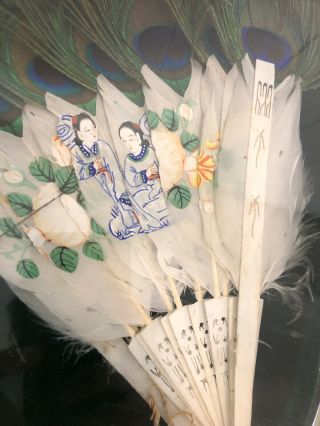 Antique 19th Century Chinese/Japan Hand Fan Peacock Feathers Set Of Two 2