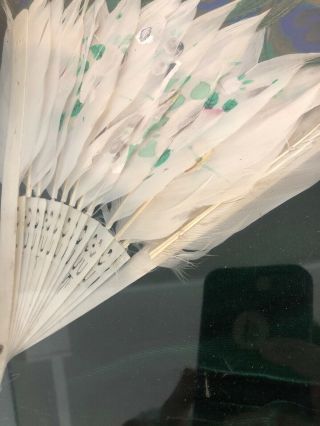 Antique 19th Century Chinese/Japan Hand Fan Peacock Feathers Set Of Two 4