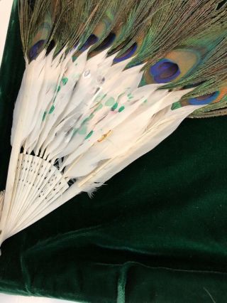 Antique 19th Century Chinese/Japan Hand Fan Peacock Feathers Set Of Two 5