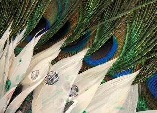Antique 19th Century Chinese/Japan Hand Fan Peacock Feathers Set Of Two 7