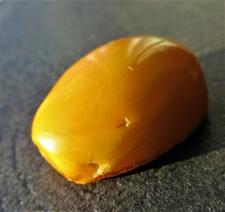 Natural Antique Butterscotch Egg Yolk Baltic Amber Pendant 4