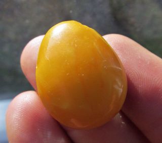 Natural Antique Butterscotch Egg Yolk Baltic Amber Pendant 6