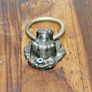 Antique Style Rustic Cast Iron Lion Face Door knocker with Brass Ring 002 4
