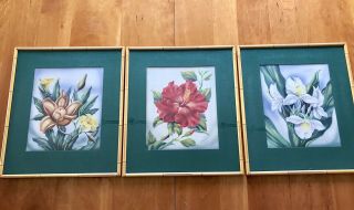 Set Of 3 Vintage Hawaiian Ted Mundorff Art Botancials Signed And Framed