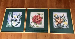 Set of 3 Vintage Hawaiian Ted Mundorff art Botancials signed and framed 8