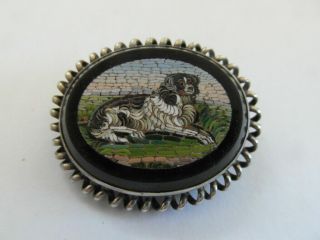Gorgeous Antique Micro Mosaic Spaniel Dog Brooch Pin - Grand Tour