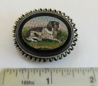 Gorgeous Antique Micro Mosaic Spaniel Dog Brooch Pin - Grand Tour 2