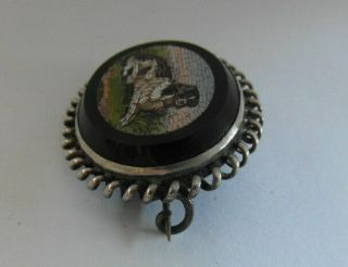 Gorgeous Antique Micro Mosaic Spaniel Dog Brooch Pin - Grand Tour 4