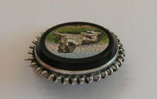 Gorgeous Antique Micro Mosaic Spaniel Dog Brooch Pin - Grand Tour 6