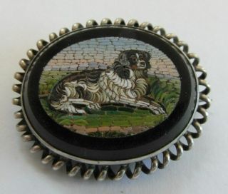 Gorgeous Antique Micro Mosaic Spaniel Dog Brooch Pin - Grand Tour 7