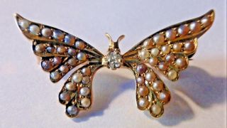 Estate Antique Victorian 14k Gold - Diamond & Seed Pearl Butterfly Pin