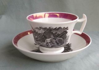 6 ANTIQUE PINK LUSTER BLACK TRANSFERWARE CUPS & SAUCERS HUNTING SCENE 3