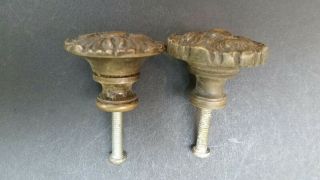 2 Antique Vintage French Provincial Brass Floral Knobs Pulls Handles Z26 2