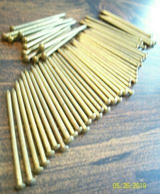 55 Vintage 1 3/4 " X 14 Solid Brass Brad Nails,  Round Dome Head Escutcheon Pins