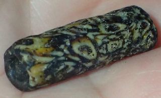 25.  5mm Ancient Rare Roman Glass Bead,  1800,  Years Old,  S626