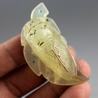 2.  3  Chinese old green jade hand - carved cicada statue amulet pendant 1077 2