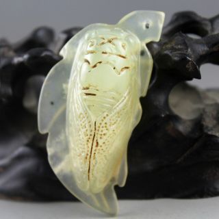 2.  3  Chinese old green jade hand - carved cicada statue amulet pendant 1077 3