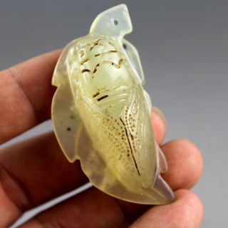 2.  3  Chinese old green jade hand - carved cicada statue amulet pendant 1077 5