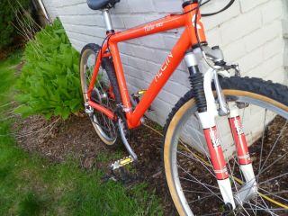 Vintage KLEIN PULSE RACE MTB Bike STX - RC Bicycle Collector Rare 17 inch 1997 9