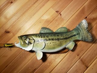 Largemouth bass wood carving trophy fish taxidermy fishing lure Casey Edwards 5