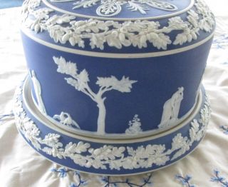 Antique Wedgwood Cobalt Blue / White Jasperware Two Piece Cheese / Desert DOME 4