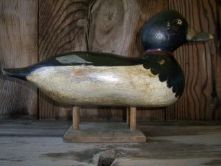 Antique - Vintage - Factory - Mason - Rare Ringbill - Wooden Duck Decoy