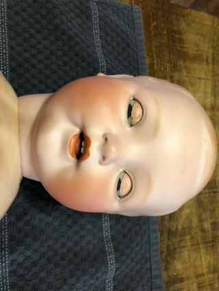 antique doll vanta baby Louis Amberg and sons 4