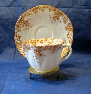 Vintage Shelley Dainty Brown Flowers Cup & Saucer Bone China Exc