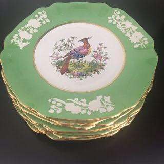 Set Of 10 Vintage Copeland Spode England Chelsea Bird Plates Green Borders D 9”