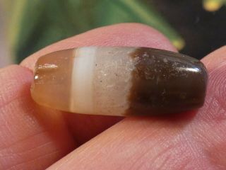 Ancient Authentic Indo Tibetan Chung Dzi Agate Bead 4 Colors Rare Beauty 26 - 10mm