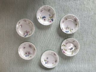 6 Antique Theodore Haviland 1903 Porcelain Butter Pats Limoges France Floral