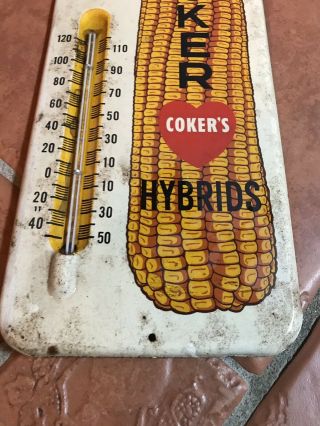 COKER HYBRID CORN ADVERTISING THERMOMETER SIGN PLANT COKERS ANTIQUE VINTAGE 3