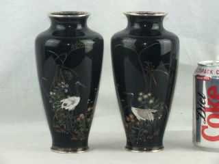 Pair Meiji Japanese Cloisonne Cranes Vases - Circa 1900