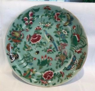 Antique Chinese Canton Porcelain Plate Green Celadon Hand Painted C 1850