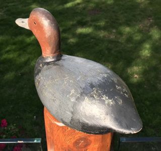 VINTAGE CHRIS SMITH DRAKE REDHEAD DUCK DECOY MICHIGAN GREAT FORM HOLLOW 8