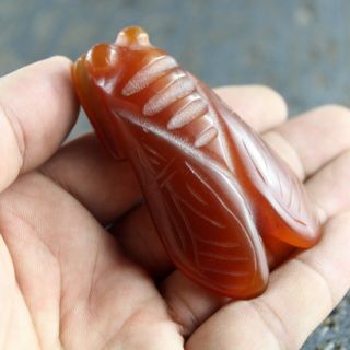 2.  9  Chinese Old Red Agate Jade Hand - Carved Cicada Statue Fortune Pendant 1228