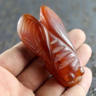 2.  9  Chinese old red agate jade hand - carved cicada statue fortune pendant 1228 2