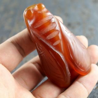 2.  9  Chinese old red agate jade hand - carved cicada statue fortune pendant 1228 3