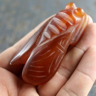 2.  9  Chinese old red agate jade hand - carved cicada statue fortune pendant 1228 4