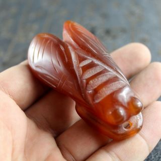 2.  9  Chinese old red agate jade hand - carved cicada statue fortune pendant 1228 5