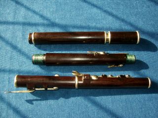 Rare Antique Vintage Old Wooden Irish Flute Wolf & Figg 8 Key Cocus 6