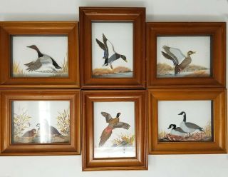 Set Of 6 Birds Joseph Q Whipple Shadow Box 3d Vintage A&f Painting Dioramas Euc