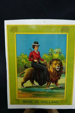 Very Old Indian Advertising Label - Lady On Lion Made In Holland - Very Rare