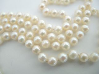Vintage Strand Cultured Akoya 6mm Pearls Necklace 18ct Gold Clasp 66cm 26 Inch
