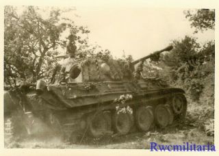 Rare: Us Soldier View Captured German Pzkw.  V Panther Panzer Tank In Field
