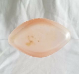 Vintage,  Art Deco Pink Satin Frosted Glass 5.  25 