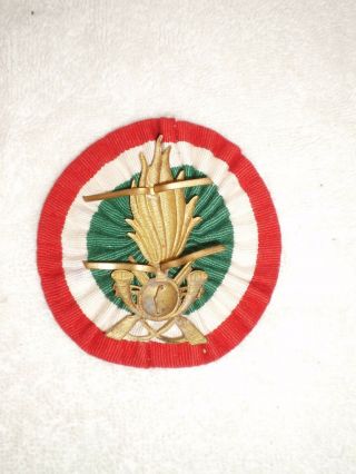 WW2 Italian 8th Alpine Infantry regiment pith helmet badge, 2