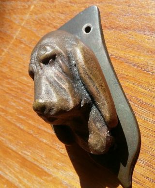 Vintage Small Brass Bloodhound Door Knocker Hunting Basset Hound Dog Figural