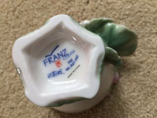 Franz Porcelain Flower Tea Cup and Saucer FZ00456 PRE - OWNED 6