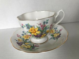 Pretty Spring Daffodils Queen Anne Tea Cup And Saucer Set Cond.